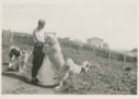 Image of Dogs with White man